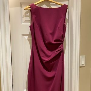 Beautiful fuchsia shift dress NWOT